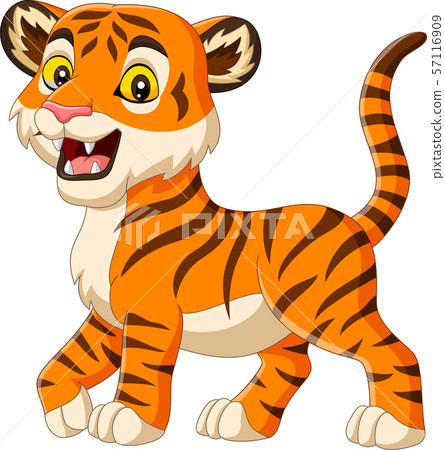 Cartoon baby tiger isolated on white background Cartoon baby tiger isolated on white background 57116909