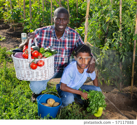 Happy family with harvest of vegetables in the garden Happy family with harvest of vegetables in the garden 57117888
