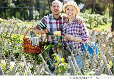 Couple looking after flowers in the garden 57118442