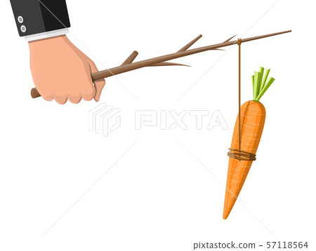 Carrot on a stick in hand. Carrot on a stick in hand. 57118564