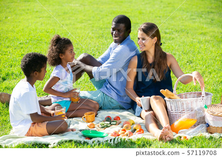 Family enjoying picnic 57119708