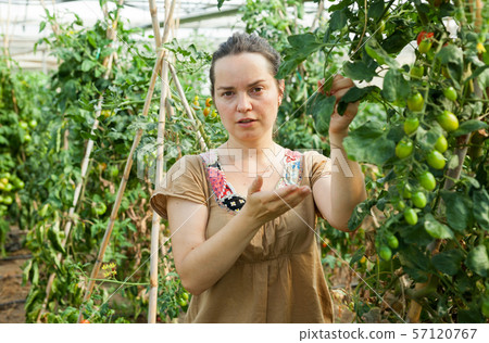 Woman working in glasshousw Woman working in glasshousw 57120767