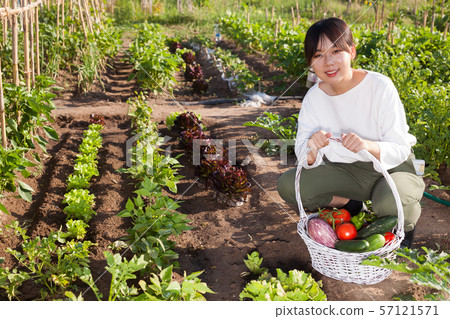 Female holding basket full of vegetables Female holding basket full of vegetables 57121571