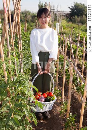 Girl holding basket of tomatoes and cucumbers Girl holding basket of tomatoes and cucumbers 57121573