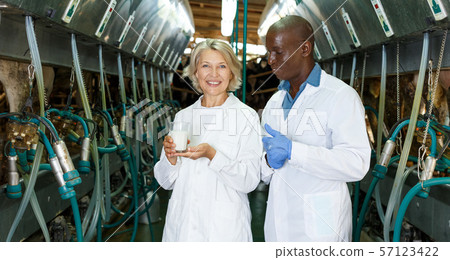 Veterinarians inspecting milk quality Veterinarians inspecting milk quality 57123422
