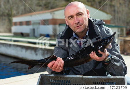 Owner of fish farm with sturgeons Owner of fish farm with sturgeons 57123709
