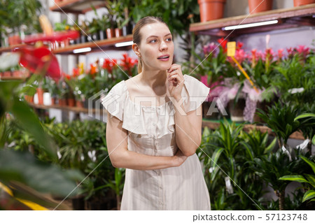 Female customer chooses houseplants in flower shop Female customer chooses houseplants in flower shop 57123748