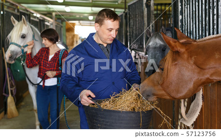 Male farm worker feeding horse Male farm worker feeding horse 57123756
