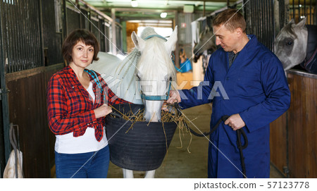 Workers feeding roan horse Workers feeding roan horse 57123778