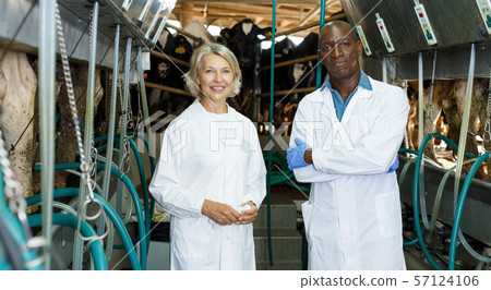Two farm milkmaids male and female standing near modern cow milking machines 57124106