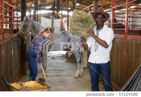Couple of farmers working at stable Couple of farmers working at stable 57124380