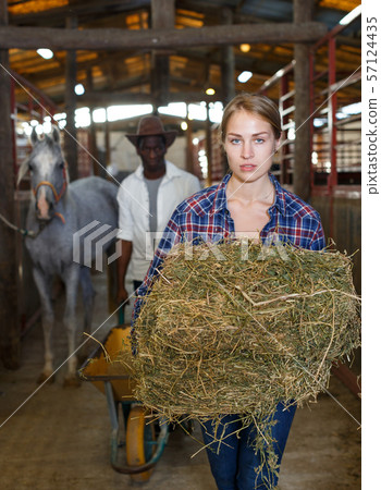 Two workers spreading hay at stable 57124435