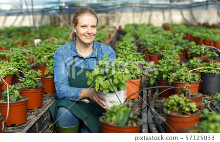 Female farmer posing in glasshouse Female farmer posing in glasshouse 57125033