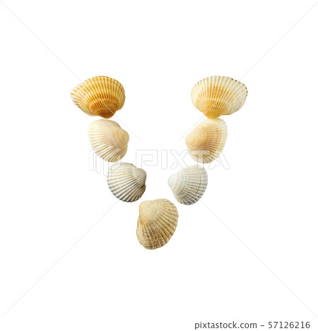 Letter "v" composed from seashells, isolated on white background 57126216