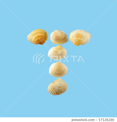 Letter "t" composed from seashells, isolated on gentle blue background 57126280