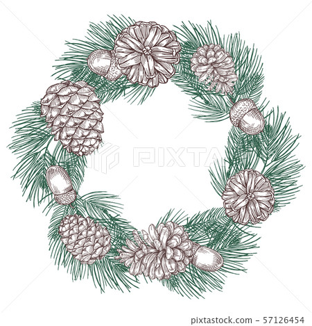 Green spruce branches wreath with cones vector illustration Green spruce branches wreath with cones vector illustration 57126454