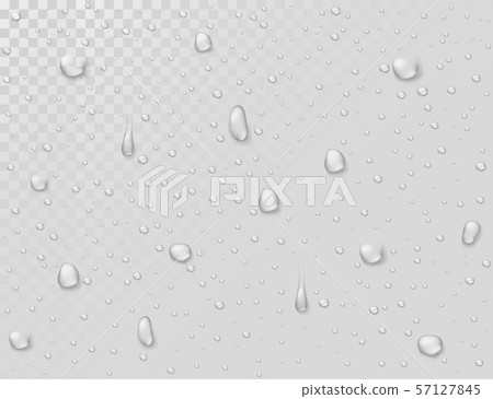 Water rain drops. Droplets on transparent wet glass window. Photorealistic water shower drops vector Water rain drops. Droplets on transparent wet glass window. Photorealistic water shower drops vector 57127845