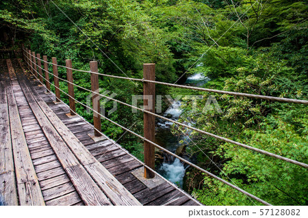 Fresh green Fresh green 57128082