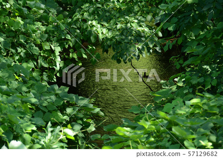 Kugayama周圍的Tamagawajosui 57129682