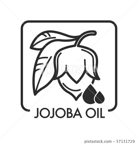 Jojoba oil healing organic natural product for 57131729