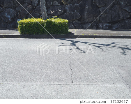 路邊的樹木和人行道 57132657