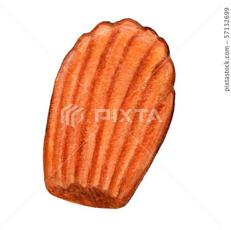 馬德琳烘焙食品手繪水彩 57132699