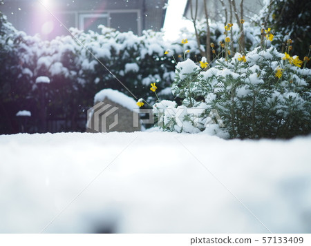 Snow world 57133409