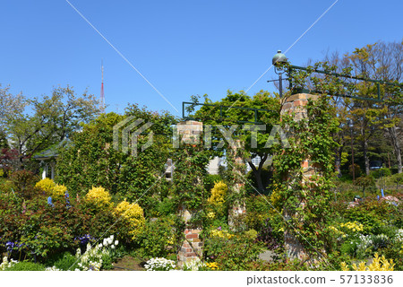 Garden of hill park with a view of the harbor (Yokohama City, Kanagawa Prefecture) Garden of hill park with a view of the harbor (Yokohama City, Kanagawa Prefecture) 57133836