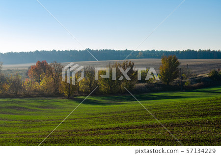 Agriculture field landscape 57134229