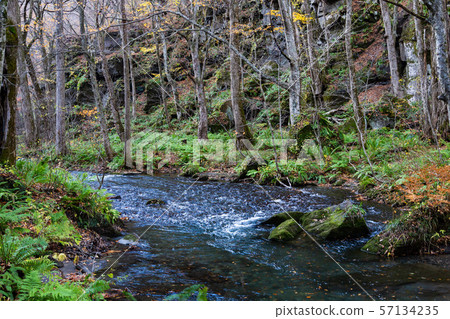 Oirase山間溪流(青森縣) Oirase山間溪流(青森縣) 57134235