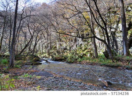 Oirase山間溪流(青森縣) Oirase山間溪流(青森縣) 57134236