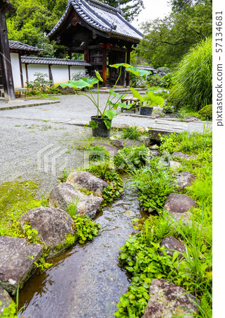 [山梨縣]初夏的Kokoji Temple場地 57134681
