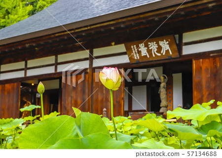 [山梨縣]初夏的Hokoji寺 57134688