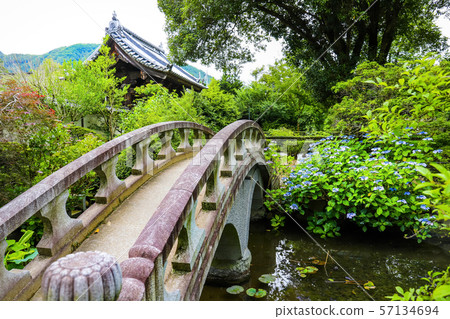 [山梨]初夏的Hokoji寺與繡球花 57134694
