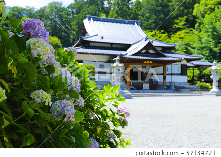 [Yamanashi Prefecture] Komuroyama Myoji Temple Main Hall and Hydrangea Flowers 57134721