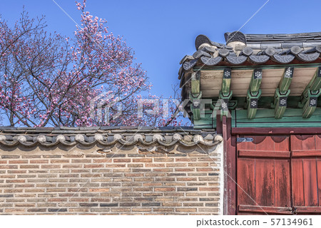 Moon, Hongmaehwa, Changdeokgung Palace, Jongno-gu, Seoul 57134961