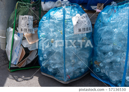 Collecting plastic bottle trays for recycling Collecting plastic bottle trays for recycling 57136530