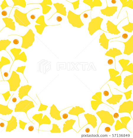 Ginkgo background 57136849