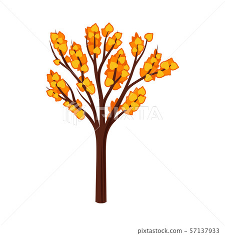 Silhouetted autumn tree with leaves. Vector illustration on a white background. 57137933