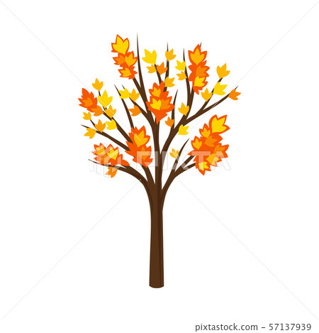 Silhouetted by autumn maple. Vector illustration on a white background. 57137939