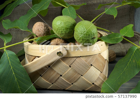 Walnuts in shells and husks on a table 57137990