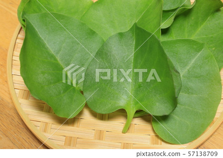 Hill wakame Hill wakame 57138709