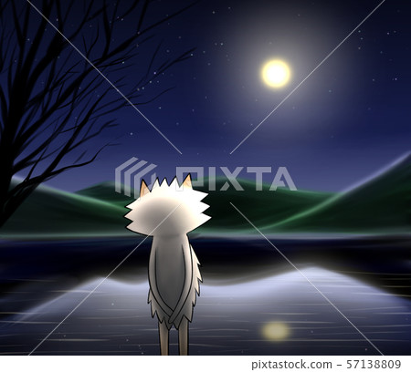 Illustration of a dog staring at the sky at the waterside on a full moon night Illustration of a dog staring at the sky at the waterside on a full moon night 57138809