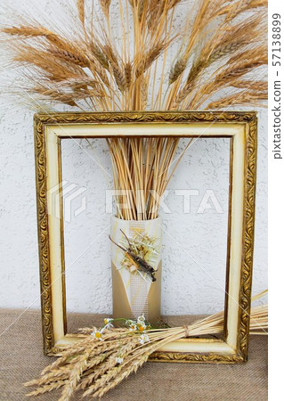 Autumn still life with ears of wheat and rye in a frame from a picture Autumn still life with ears of wheat and rye in a frame from a picture 57138899