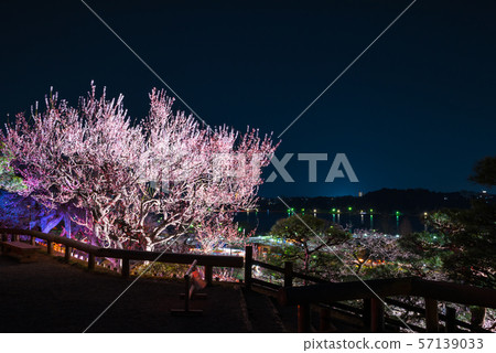 Kairakuen Mito Plum Festival Light Up Night View（茨城縣水戶市）2019年3月 57139033