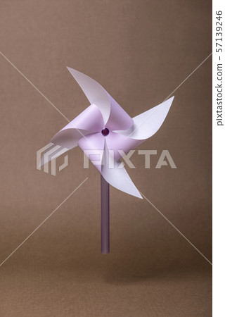 Pinwheel, purple Pinwheel, purple 57139246