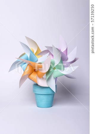 Pinwheel, flowerpot 57139250