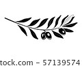 Olive branch with black olives and leaves. 57139574