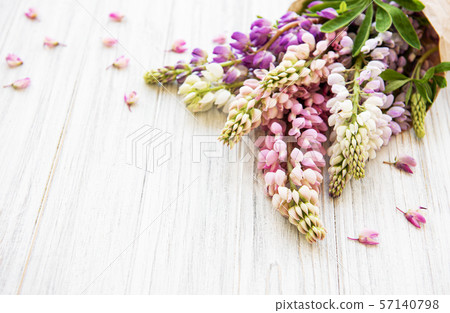 Pink  lupine flowers 57140798