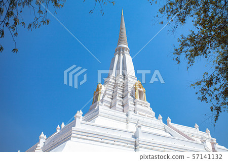Wat Phu Khao Thong in Ayutthaya 57141132